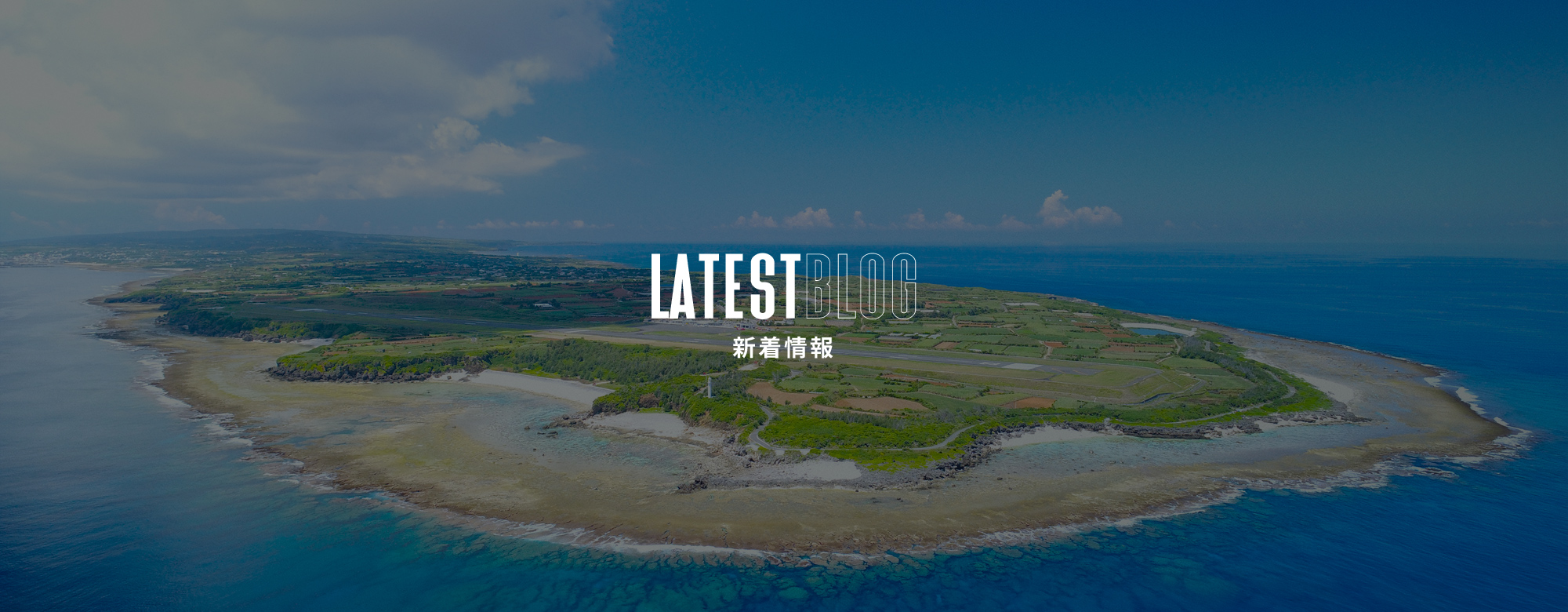 新着情報